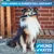 BluePet Flohkamm & Läusekamm für Hund & Katze, bei Flöhen, Läusen & Zecken BluePet Flohkamm & Läusekamm für Hund & Katze, bei Flöhen, Läusen & Zecken