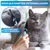 BluePet Flohkamm & Läusekamm für Hund & Katze, bei Flöhen, Läusen & Zecken BluePet Flohkamm & Läusekamm für Hund & Katze, bei Flöhen, Läusen & Zecken