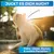 BluePet Flohkamm & Läusekamm für Hund & Katze, bei Flöhen, Läusen & Zecken BluePet Flohkamm & Läusekamm für Hund & Katze, bei Flöhen, Läusen & Zecken