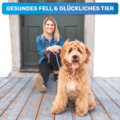 BluePet Hundebürste & Katzenbürste, Unterwollbürste Langhaar Hund & Katze