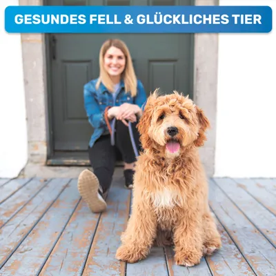 BluePet Unterwollbürste, Langhaar Unterfellbürste, Bürste für Hund & Katze BluePet Unterwollbürste, Langhaar Unterfellbürste, Bürste für Hund & Katze