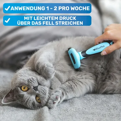 BluePet Hundebürste & Katzenbürste, Unterwollbürste Kurzhaar Hund & Katze