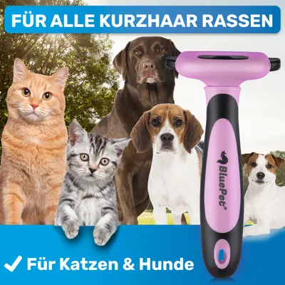 BluePet Hundebürste & Katzenbürste, Unterwollbürste Kurzhaar Hund & Katze