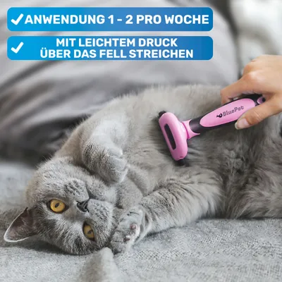 BluePet Hundebürste & Katzenbürste, Unterwollbürste Kurzhaar Hund & Katze