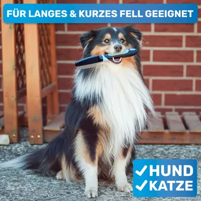 BluePet Flohkamm & Läusekamm für Hund & Katze, bei Flöhen, Läusen & Zecken BluePet Flohkamm & Läusekamm für Hund & Katze, bei Flöhen, Läusen & Zecken