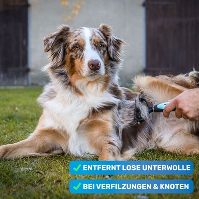 BluePet Hundebürste & Katzenbürste, Unterwollbürste Langhaar Hund & Katze