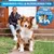BluePet Unterwollbürste, Langhaar Unterfellbürste, Bürste für Hund & Katze BluePet Unterwollbürste, Langhaar Unterfellbürste, Bürste für Hund & Katze