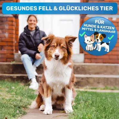 BluePet Unterwollbürste, Langhaar Unterfellbürste, Bürste für Hund & Katze BluePet Unterwollbürste, Langhaar Unterfellbürste, Bürste für Hund & Katze