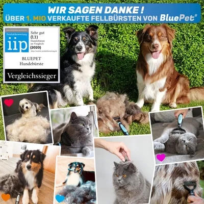 BluePet Unterwollbürste, Langhaar Unterfellbürste, Bürste für Hund & Katze BluePet Unterwollbürste, Langhaar Unterfellbürste, Bürste für Hund & Katze