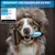 BluePet Unterwollbürste, Langhaar Unterfellbürste, Bürste für Hund & Katze BluePet Unterwollbürste, Langhaar Unterfellbürste, Bürste für Hund & Katze