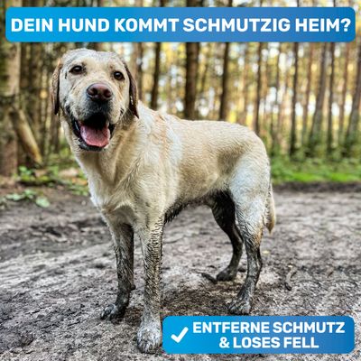 BluePet Hundebürste & Katzenbürste Kurzhaar, Badebürste Gummistriegel Hund