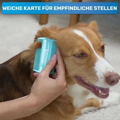 BluePet leichter Flohkamm & Läusekamm inkl. Flohkarte für Hund & Katze BluePet leichter Flohkamm & Läusekamm inkl. Flohkarte für Hund & Katze