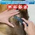 BluePet leichter Flohkamm & Läusekamm inkl. Flohkarte für Hund & Katze BluePet leichter Flohkamm & Läusekamm inkl. Flohkarte für Hund & Katze