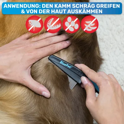 BluePet leichter Flohkamm & Läusekamm inkl. Flohkarte für Hund & Katze BluePet leichter Flohkamm & Läusekamm inkl. Flohkarte für Hund & Katze