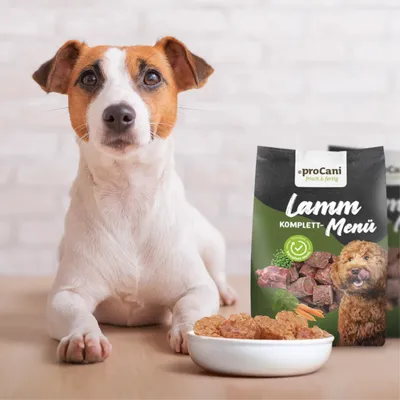 proCani Lamm-Menü-Nuggets NAPFFERTIG