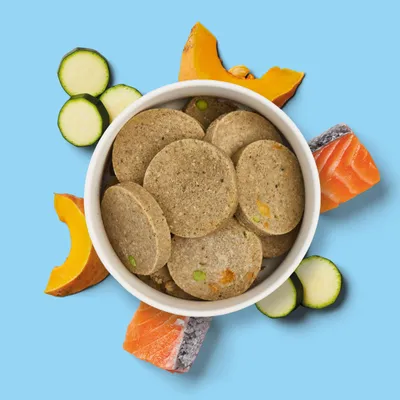 Nutriment Medaillons Lachs, Kürbis & Chicorée