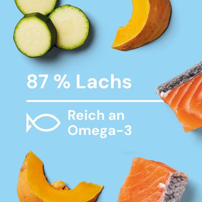 Nutriment Medaillons Lachs, Kürbis & Chicorée – schonend gegart