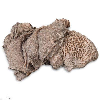 proCani Blättermagen / Pansen grün