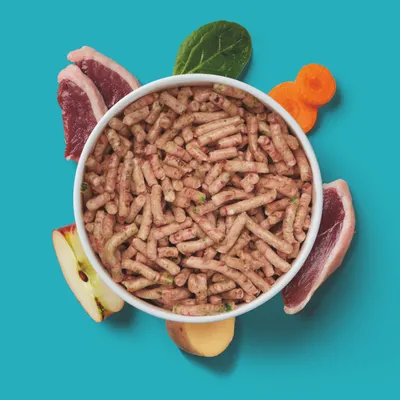 Nutriment Komfort-BARF Menü Ente