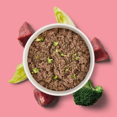 Nutriment Frischemenü Rind, Chicorée & Brokkoli