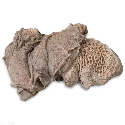 proCani Blättermagen / Pansen grün proCani Blättermagen / Pansen grün