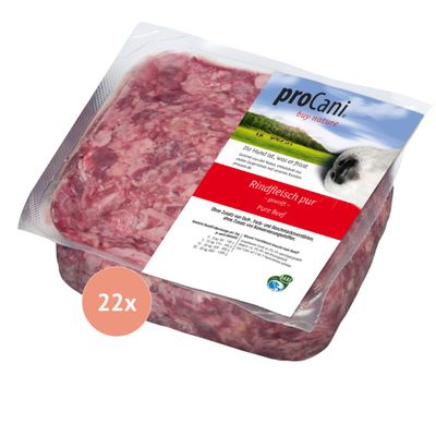 proCani Rind pur