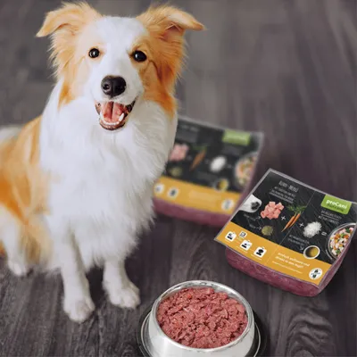 proCani Menü Paket Rind & Huhn