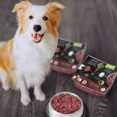 proCani Menü Paket Hypoallergen proCani Menü Paket Hypoallergen