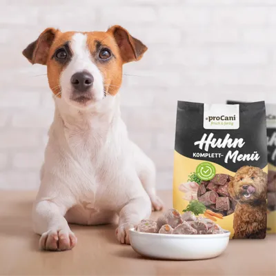 proCani Huhn-Menü-Nuggets NAPFFERTIG proCani Huhn-Menü-Nuggets NAPFFERTIG