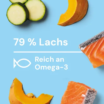 Nutriment Frischemenü Lachs, Kürbis & Zucchini