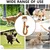 Seil-Plüsch-Tier 64 cm - quietscht, Zahnung, für alle Hunde