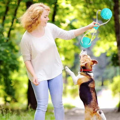 Saugnapf-Seil-Zugspielzeug - Zahnreinigung, für Hunde