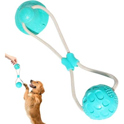 Jouet ventouse corde - Nettoyage dents, santé chien