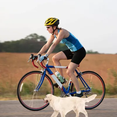 Laisse vélo chien acier nylon 45cm 78cm Laisse vélo chien acier nylon 45cm 78cm