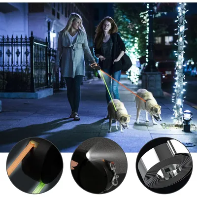 Doppelte einziehbare Leine 3 m, 30 lb, braun, mit LED