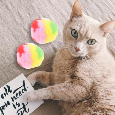 4 balles peluche chat interactives chasser mâcher