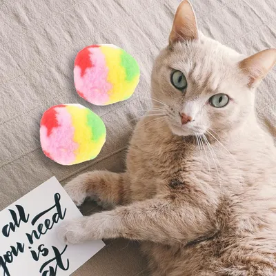 4 balles peluche chat interactives chasser mâcher 4 balles peluche chat interactives chasser mâcher