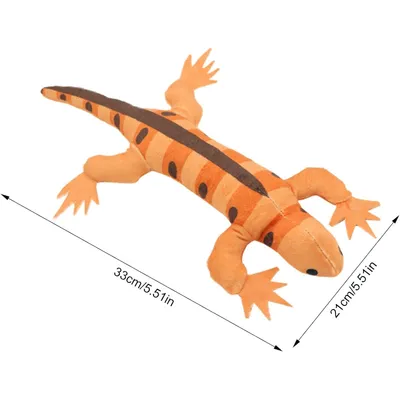 Lézard herbe à chat - Papier froissé, exercice, dentition Lézard herbe à chat - Papier froissé, exercice, dentition