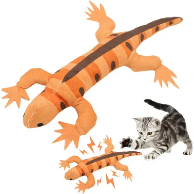 Lézard herbe à chat - Papier froissé, exercice, dentition Lézard herbe à chat - Papier froissé, exercice, dentition