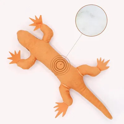 Lézard herbe à chat - Papier froissé, exercice, dentition Lézard herbe à chat - Papier froissé, exercice, dentition