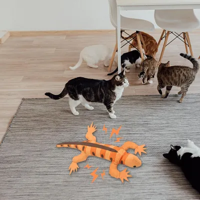 Lézard herbe à chat - Papier froissé, exercice, dentition Lézard herbe à chat - Papier froissé, exercice, dentition