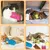 Lot 5 jouets herbe à chat 9.5x4.9cm - Moelleux, multicolore Lot 5 jouets herbe à chat 9.5x4.9cm - Moelleux, multicolore