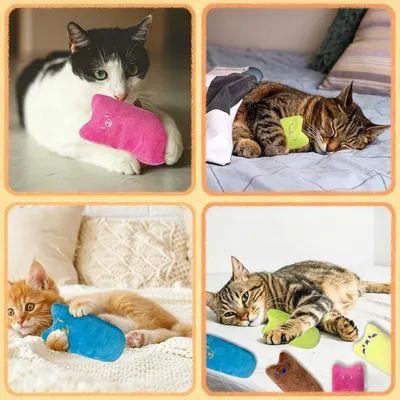 Lot 5 jouets herbe à chat 9.5x4.9cm - Moelleux, multicolore Lot 5 jouets herbe à chat 9.5x4.9cm - Moelleux, multicolore