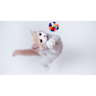 6 balles arc en ciel peluche grelot chat