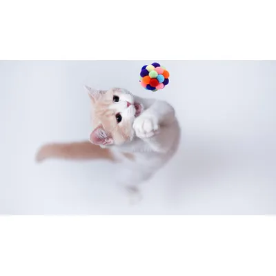 6 balles arc en ciel peluche grelot chat 6 balles arc en ciel peluche grelot chat
