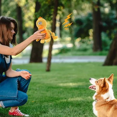 HausPets Jouet Chien Peluche Couineur Mâcher HausPets Jouet Chien Peluche Couineur Mâcher