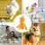 HausPets Jouet Chien Peluche Couineur Mâcher HausPets Jouet Chien Peluche Couineur Mâcher