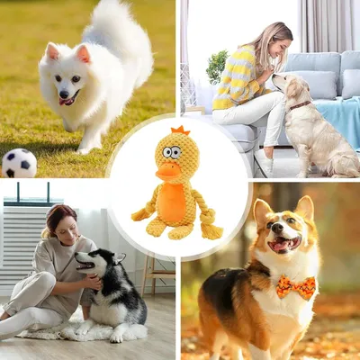 HausPets Jouet Chien Peluche Couineur Mâcher HausPets Jouet Chien Peluche Couineur Mâcher