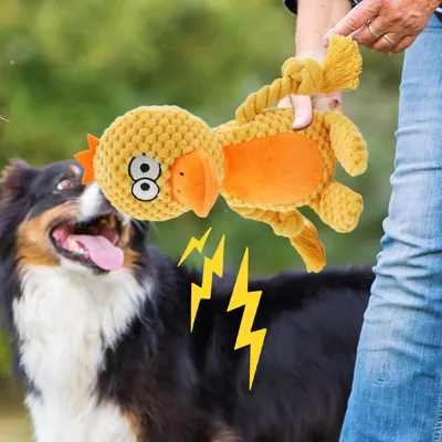 HausPets Jouet Chien Peluche Couineur Mâcher HausPets Jouet Chien Peluche Couineur Mâcher