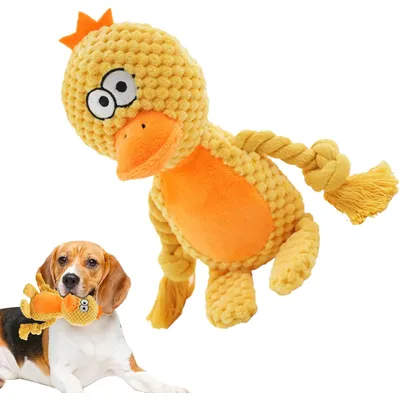 HausPets Jouet Chien Peluche Couineur Mâcher HausPets Jouet Chien Peluche Couineur Mâcher